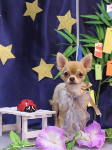 20230717モカちゃん